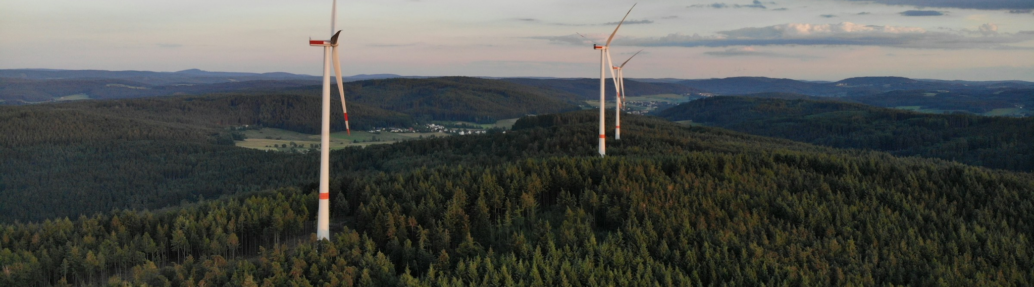 Wind turbines in a towering forest