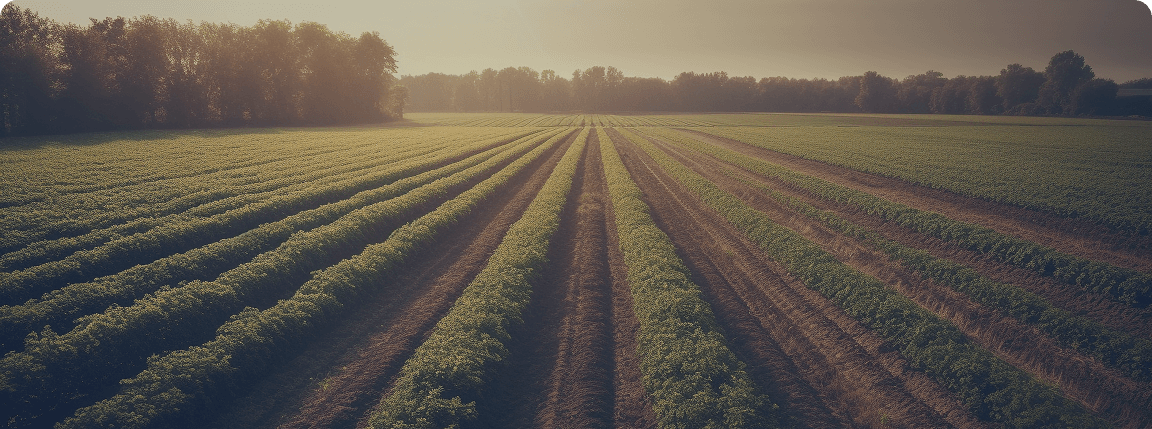 China Carbon Disclosure Platform of Agricultural Chemicals